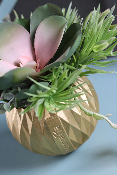 efektowna kompozycja sukulenty, Złoty Ramon, wys.19cm 