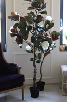 Drzewko Magnolia, sztuczne drzewo z gumowymi kwiatami, wys.174cm