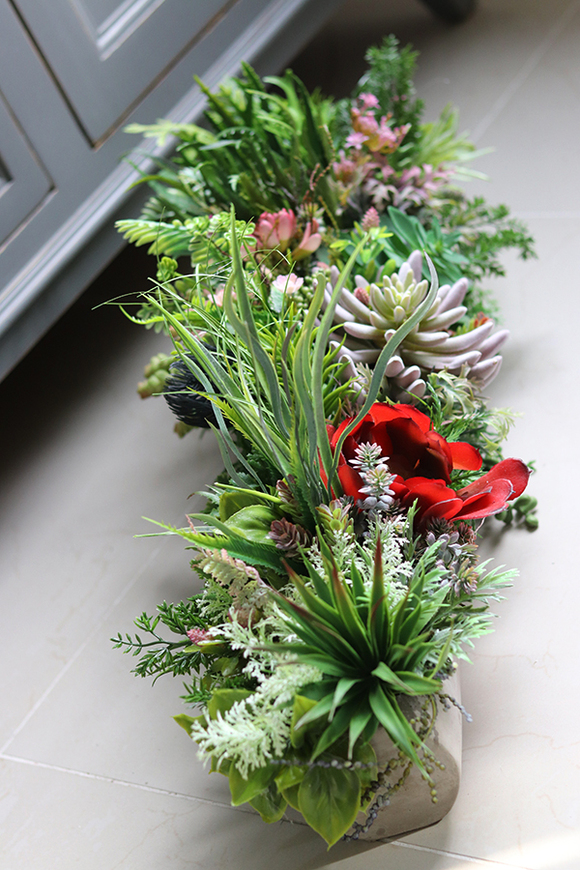 kompozycja sukulenty w długiej donicy, Hektor Togalla, dł.70cm  