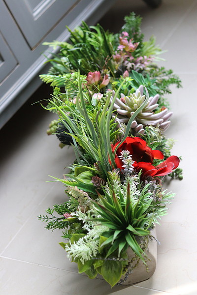 kompozycja sukulenty w długiej donicy, Hektor Togalla, dł.70cm  