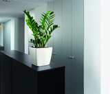 Quadro, elegancka donica z nawadnianiem, biała, wym.20x21cm