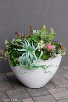 Cruzita Cacti Fiberglass, sukulenty w owalnej donicy, wys.62cm