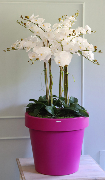 dużych rozmiarów storczyk podłogowy, Pink, wys.120cm 