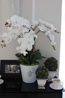 sztuczny storczyk w metalowym wiaderku do szampana, France, wys.78cm