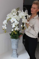 Marvello sztuczny storczyk w wysokim kielichu, wys.100cm 