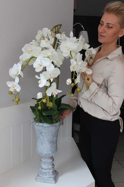 Marvello sztuczny storczyk w wysokim kielichu, wys.100cm 