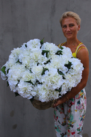 kosz Flowers Provance z białymi hortensjami wys.55cm