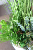 Pelona, kompozycja traw i sukulentów w koszu, wym.45x34cm