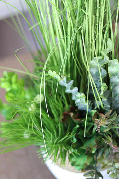 Pelona, kompozycja traw i sukulentów w koszu, wym.45x34cm