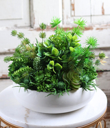 Herrano, kompozycja sukulenty w białej misie, wym.26x35cm