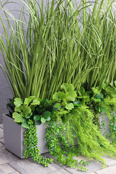 Balconera Ferina, ekskluzywna kompozycja z trawami w donicy, wys.95cm