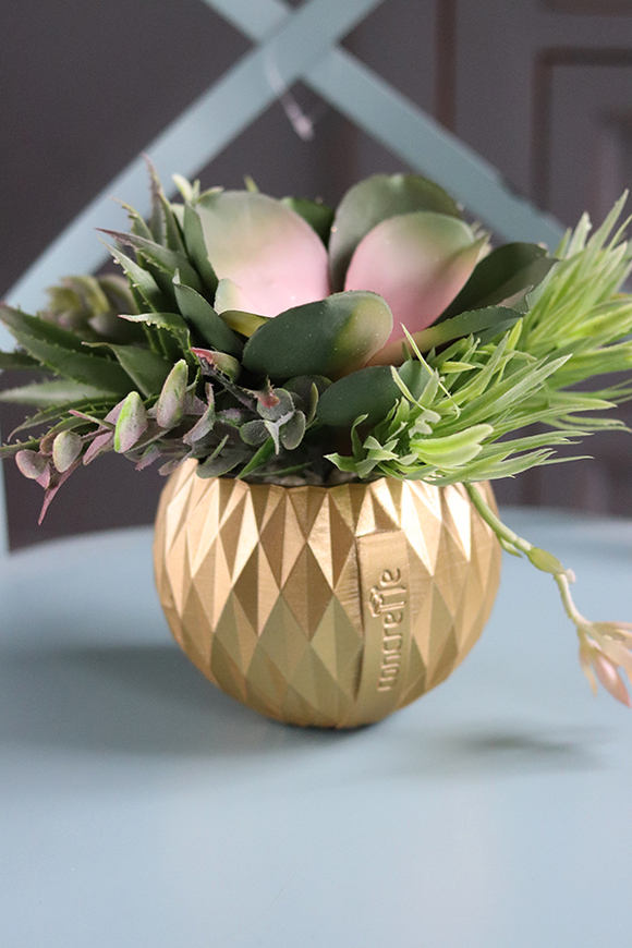 efektowna kompozycja sukulenty, Złoty Ramon, wys.19cm