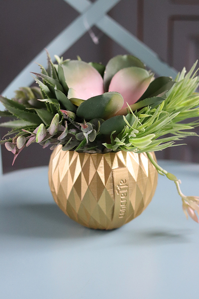 efektowna kompozycja sukulenty, Złoty Ramon, wys.19cm 