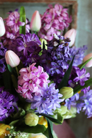 Hiacyntha,kosz pełen kwiatów, wys.46cm 