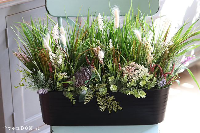 Majowa Łąka, zielona kompozycja w twojej donicy, wym.38x70x30cm