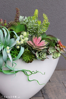 Cruzita Cacti Fiberglass, sukulenty w owalnej donicy, wys.62cm