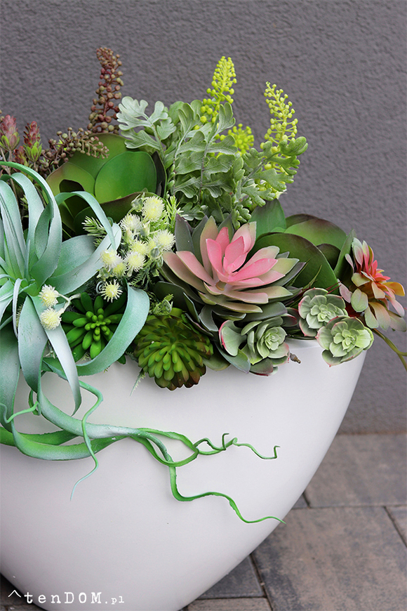 Cruzita Cacti Fiberglass, sukulenty w owalnej donicy, wys.62cm