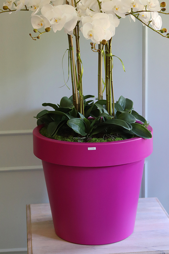 dużych rozmiarów storczyk podłogowy, Pink, wys.120cm 