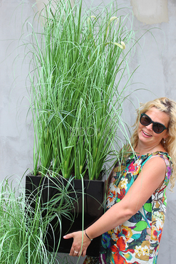 kompozycja Trawy Macarena w sześciennej czarnej donicy, wys.140cm 