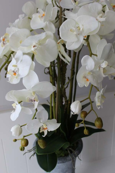 Marvello sztuczny storczyk w wysokim kielichu, wys.100cm 