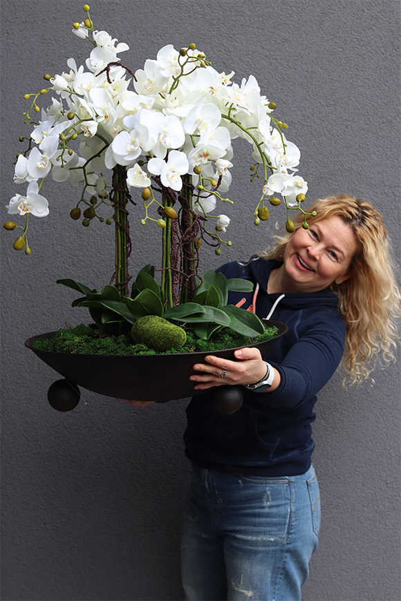 bardzo duży storczyk Fire Grande, wys.80cm 