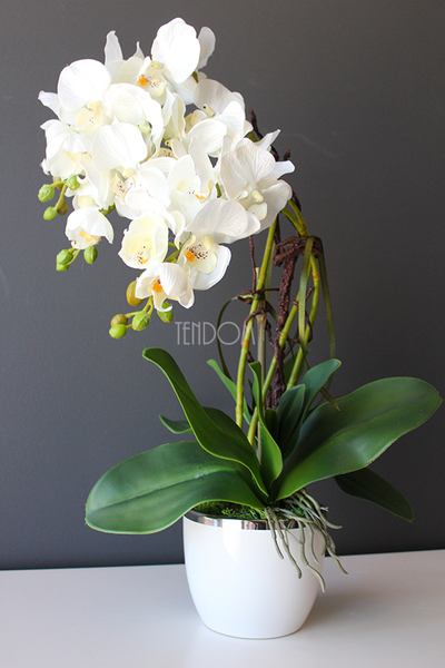 storczyk Mini Orchid w biało-srebrnej donicy, wys.50cm