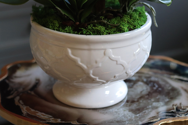 elegancki biały storczyk w ceramicznej donicy, Ronella, wys.64cm