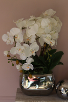 Silver Glamour efektowny storczyk w lustrzanej donicy, wys.54cm