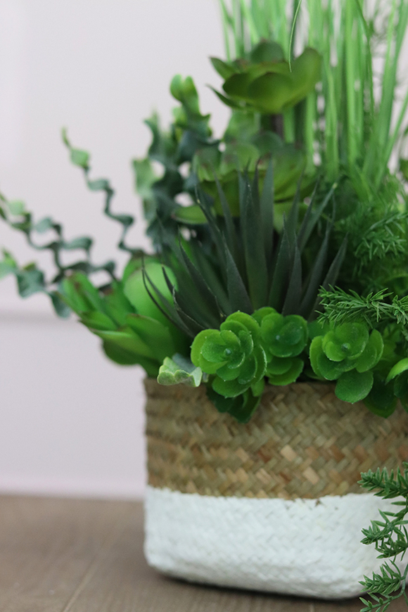 Pelona, kompozycja traw i sukulentów w koszu, wym.45x34cm