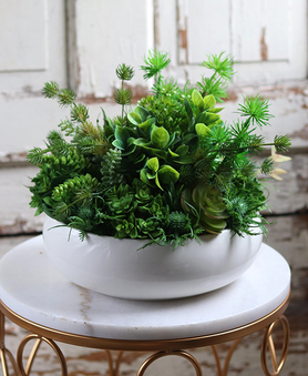 Herrano, kompozycja sukulenty w białej misie, wym.26x35cm