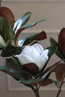 Drzewko Magnolia, sztuczne drzewo z gumowymi kwiatami, mniejsze, wys.104cm 