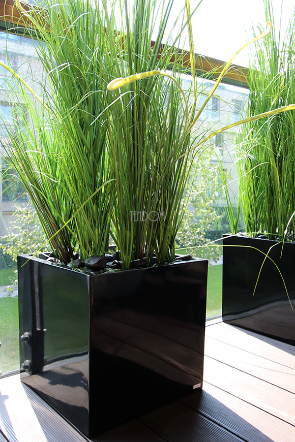 kompozycja Trawy Macarena w sześciennej czarnej donicy, wys.140cm 