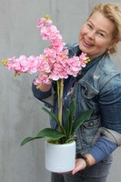 elegancki storczyk Girl w białej donicy, wys.45cm