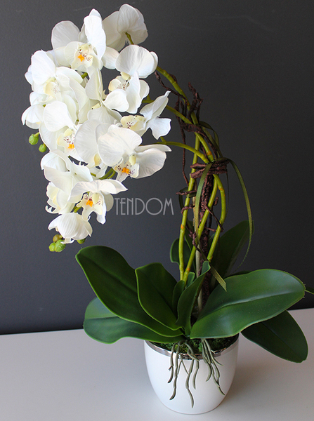 storczyk Mini Orchid w biało-srebrnej donicy, wys.50cm