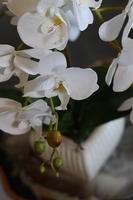 elegancki biały storczyk w ceramicznej donicy, Milua, wys.46cm