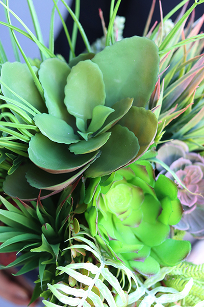 atrakcyjna kompozycja sukulenty Tenorra, wys.44cm