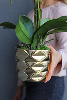 efektowny sztuczny storczyk, Ramona, wys.57cm