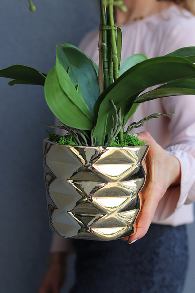 efektowny sztuczny storczyk, Ramona, wys.57cm