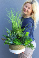 Pelona, kompozycja traw i sukulentów w koszu, wym.45x34cm