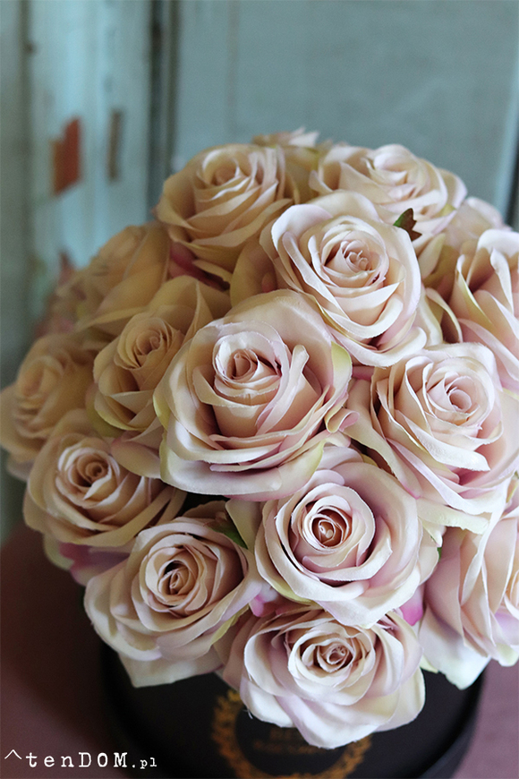 flowerbox z różami, Marchia, wys.30cm 