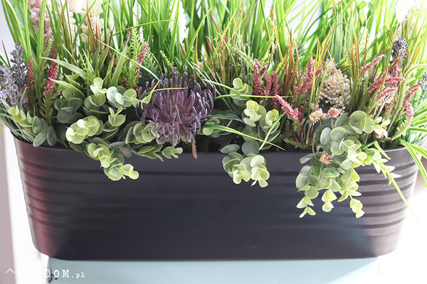 Majowa Łąka, zielona kompozycja w twojej donicy, wym.38x70x30cm