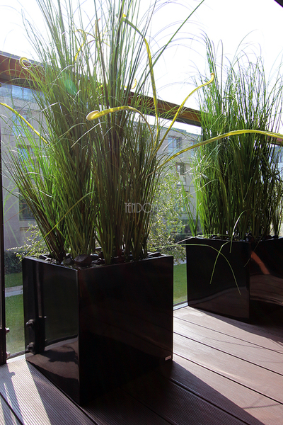 kompozycja Trawy Macarena w sześciennej czarnej donicy, wys.140cm 