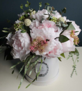 kompozycja kwiatowa / bukiet / Flowerbox, Kamelia, wys.38cm