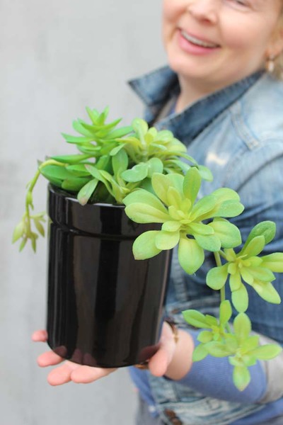kompozycja Sukulenty Black Design w czarnej wysokiej donicy, wys.23cm