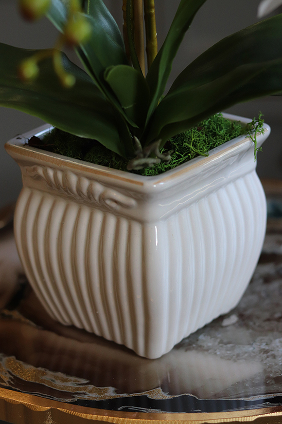 elegancki biały storczyk w ceramicznej donicy, Milua, wys.46cm