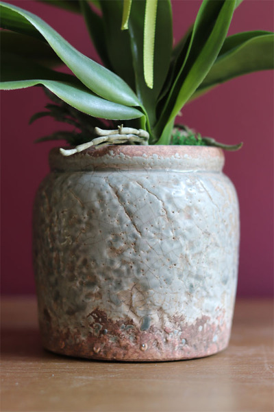 elegancki storczyk w ozdobnej donicy, Verona Mini, wys.60cm