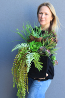 atrakcyjna kompozycja sukulenty Tenorra, wys.44cm