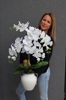 Bielisa Glamour, sztuczny storczyk w porcelanowym wazonie, wys.70cm