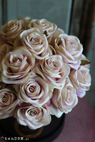 flowerbox z różami, Marchia, wys.30cm 