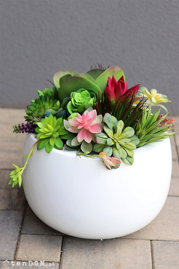 Graciana Cacti Fiberglass, sukulenty w okrągłej donicy, wys.38cm